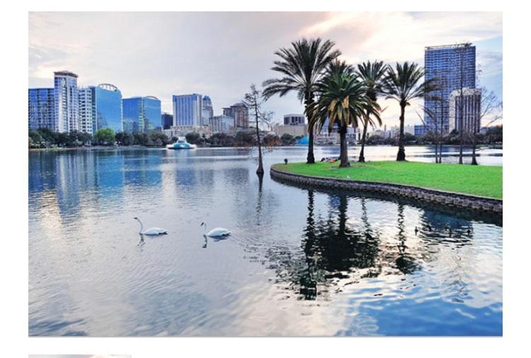 College Park-Orlando 5Star Villa Oasis - Home Away From Home - Quiet Neighborhood-Private Botanical Courtyard - Mins From Eola,Dt, Winter Park - Free Parking & Ev Plug In Exteriér fotografie